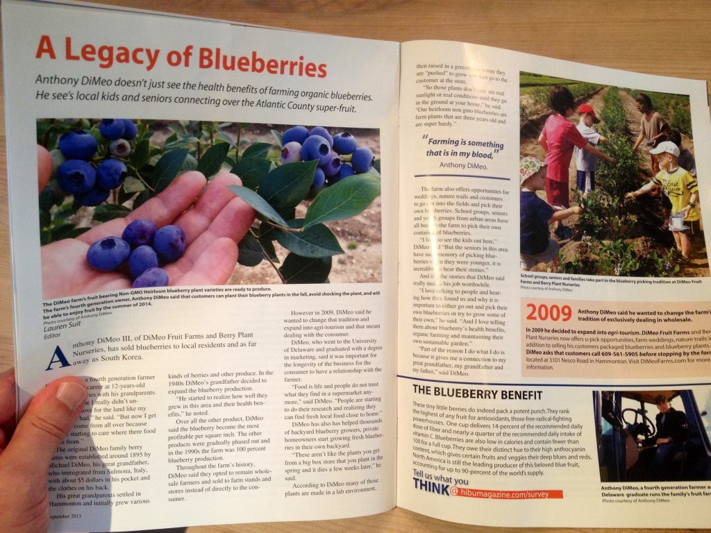 Better Tasting Blueberries