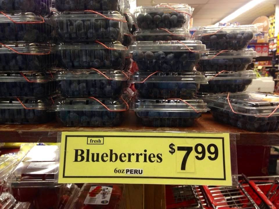 Another Reason to Grow Your Own Organic Blueberries with DiMeo Farms