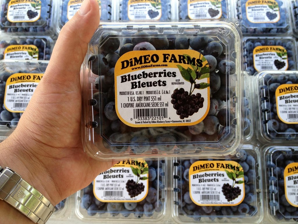 The best tasting blueberries in the world