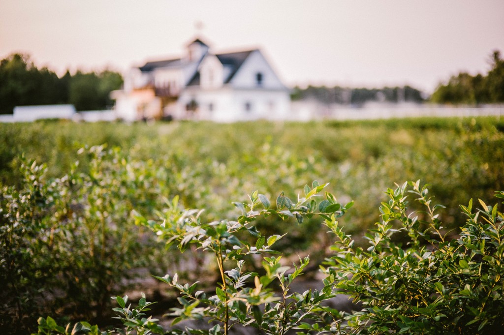 Rustic Farm Wedding Venues New Jersey at DiMeo Farms