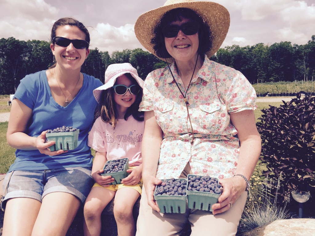 It's so much fun to pick your own blueberries at a real blueberry farm in Hammonton, New Jersey