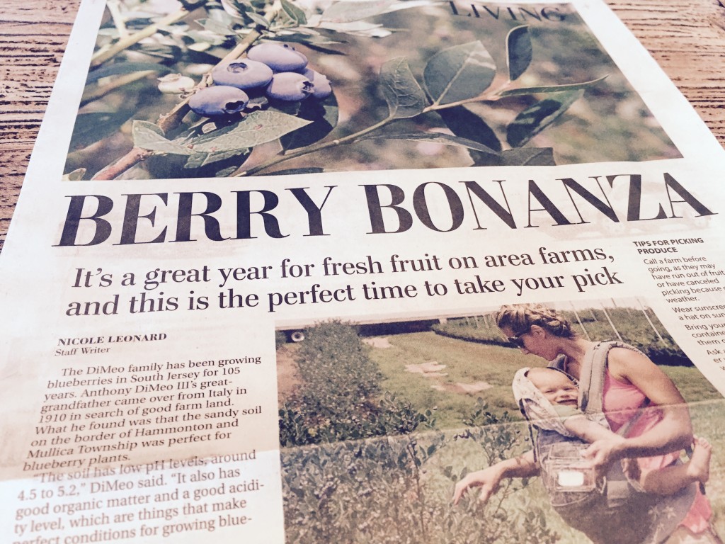 People love picking blueberries at DiMeo's Blueberry Farms in Hammonton