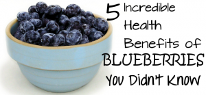 demeo blueberry demeo blueberry